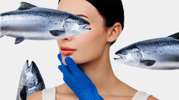 image of woman on a white background with three salmon superimposed over her face
